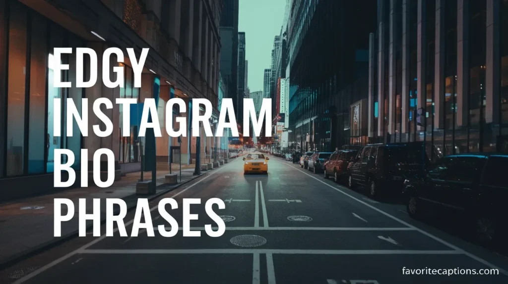 Edgy Instagram Bio Phrases