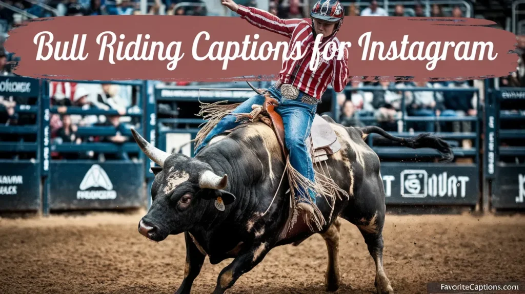 Bull Riding Captions for Instagram