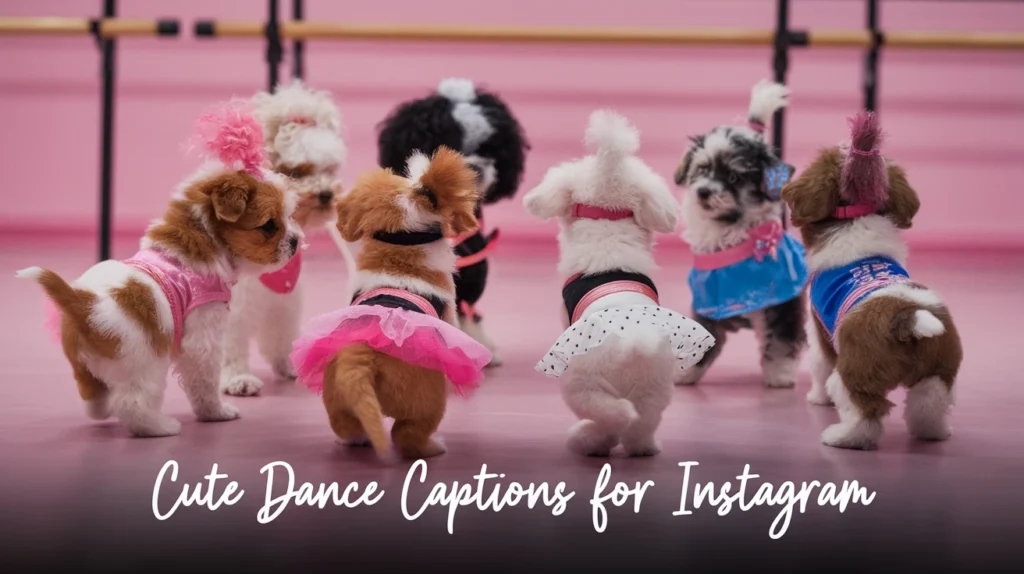 Cute Dance Captions for Instagram