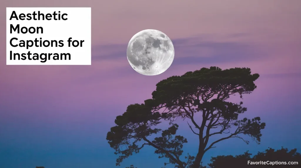 Aesthetic Moon Captions for Instagram