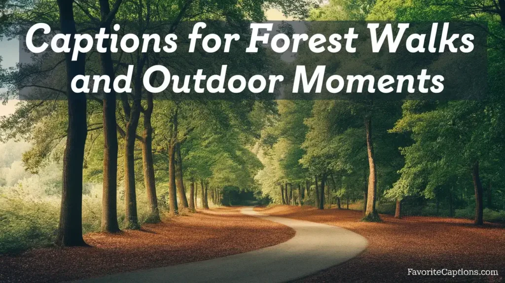 Captions for forest walks and outdoor moments
