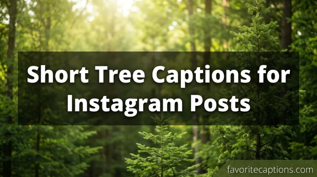 Short Tree Captions for Instagram Posts