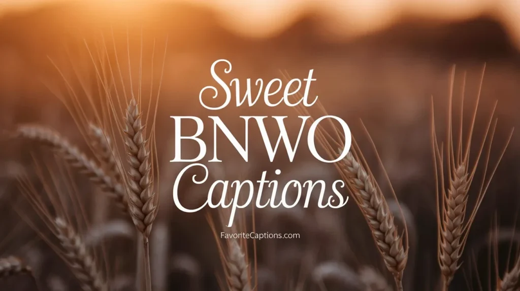 Sweet BNWO Captions
