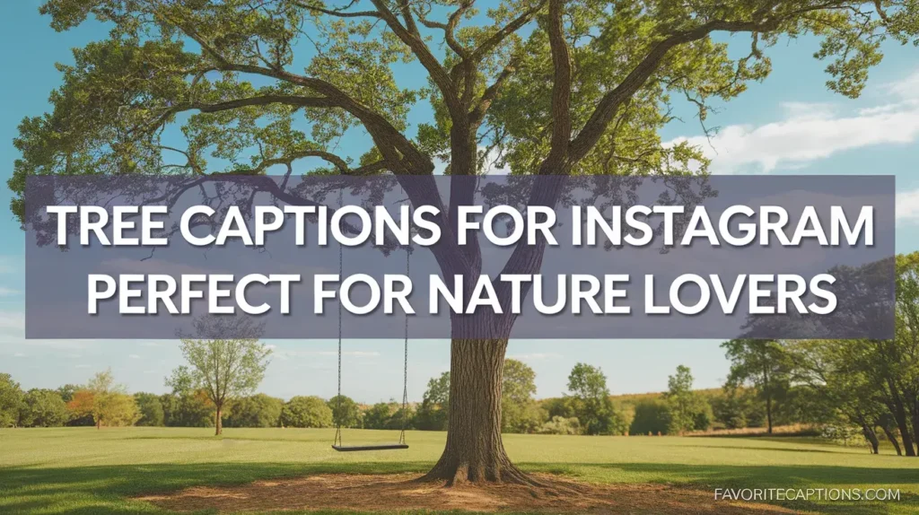 Tree Captions for Instagram Perfect for Nature Lovers