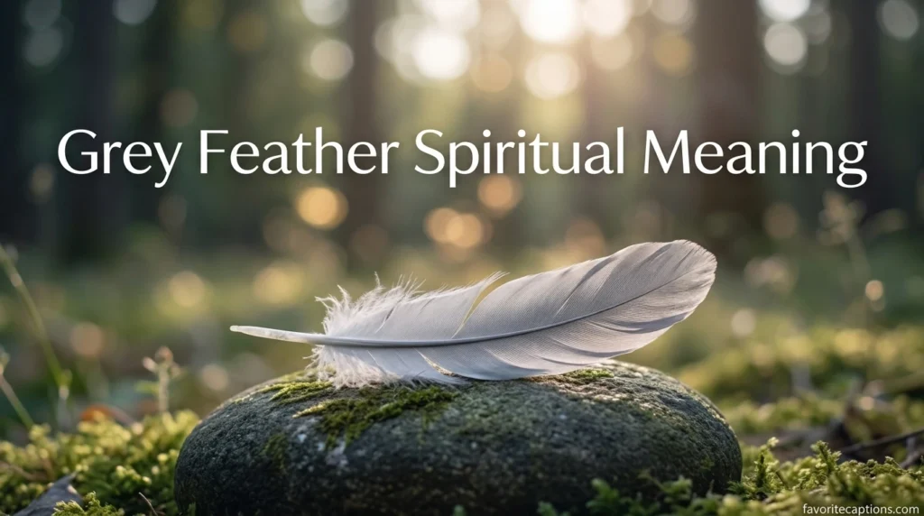 Grey Feather Spiritual Meaning
